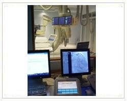 Slider image (8) Cellteam Biotechnology